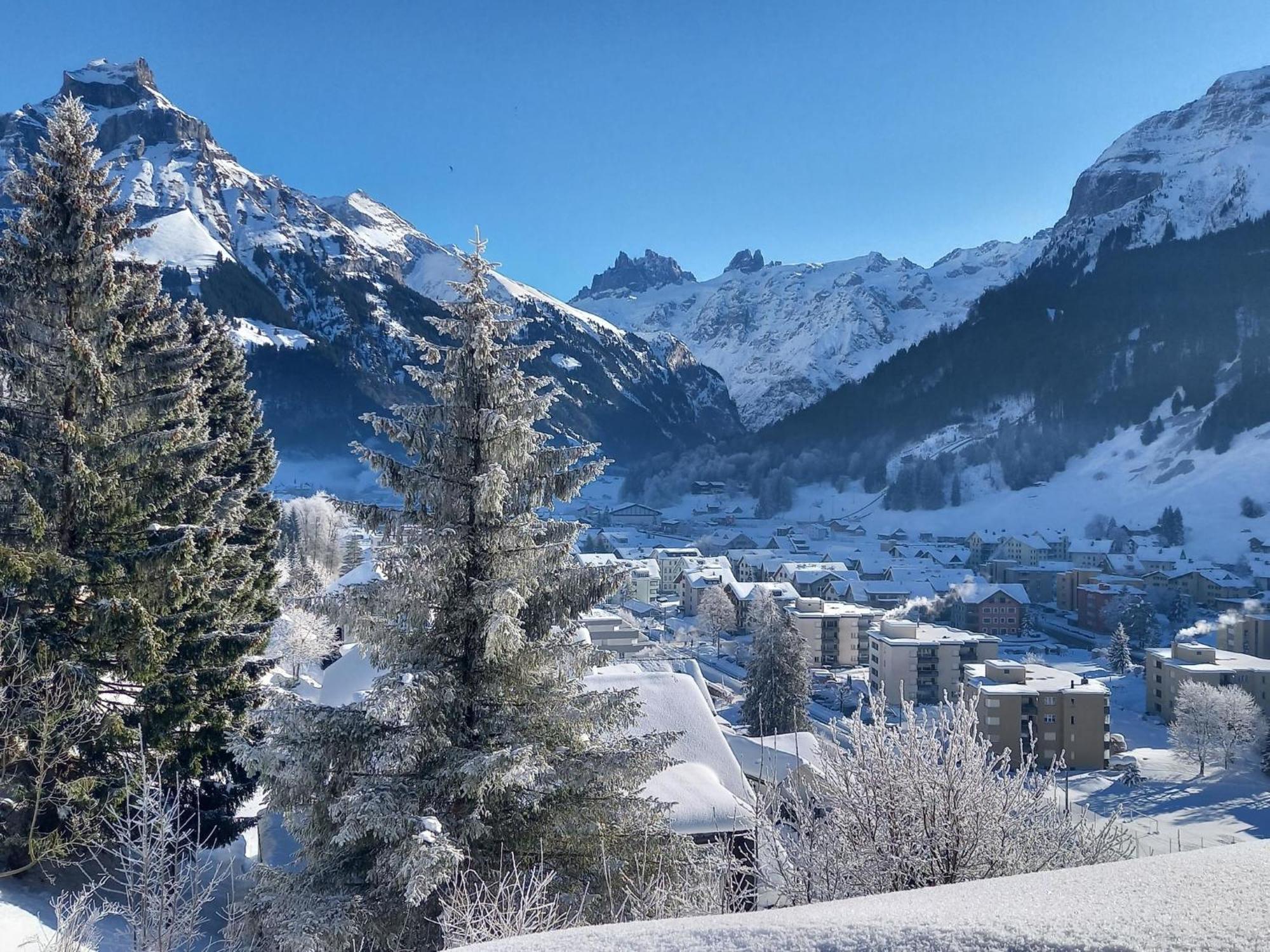 Apartment Aurora By Interhome Engelberg Dış mekan fotoğraf