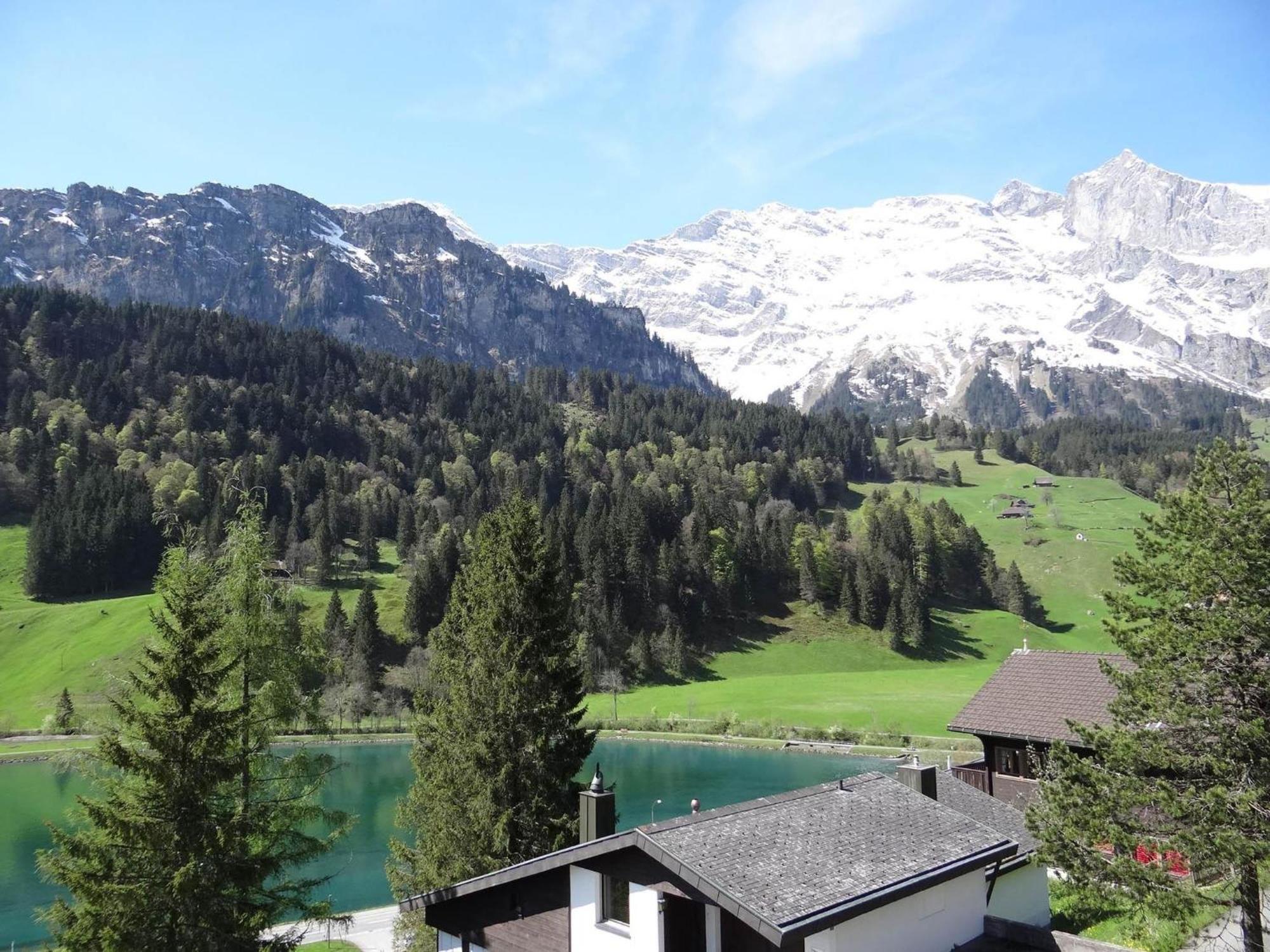 Apartment Aurora By Interhome Engelberg Dış mekan fotoğraf